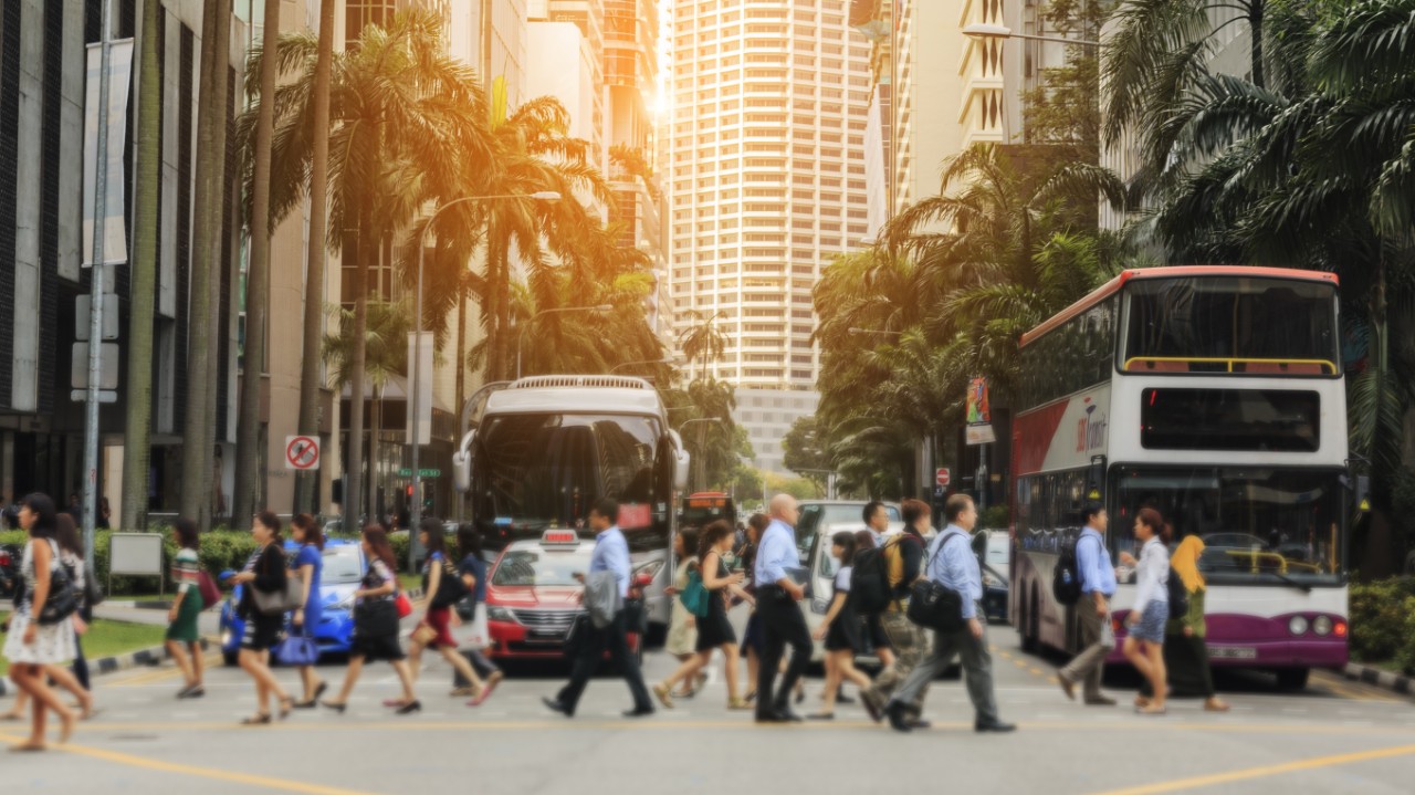 新加坡繁忙马路上的斑马线；图片使用于汇丰新加坡必备的新加坡公共交通应用程序文章页面